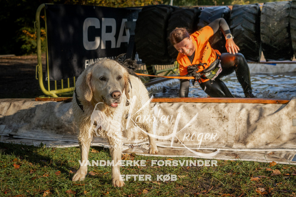 0947_ZZ91910 | kk-dogfotos