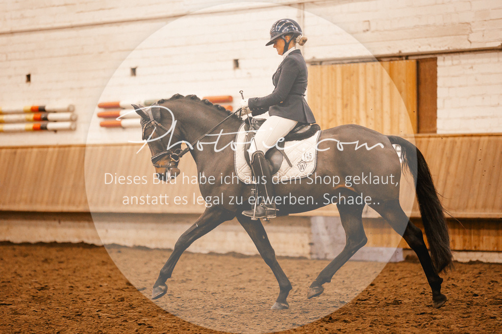 3I6A2030 | Stimmungsvolle Portraits und Reitsportfotografie im Ruhrgebiet und im Münsterland.

Pferdefotografie, Hundefotografie, Tierfotografie, Reportagen, Portraits von Tier und Mensch, Turnierfotografie in Bochum, Recklinghausen, Marl, Haltern am See, Dülmen.. - Realisiert mit Pictrs.com