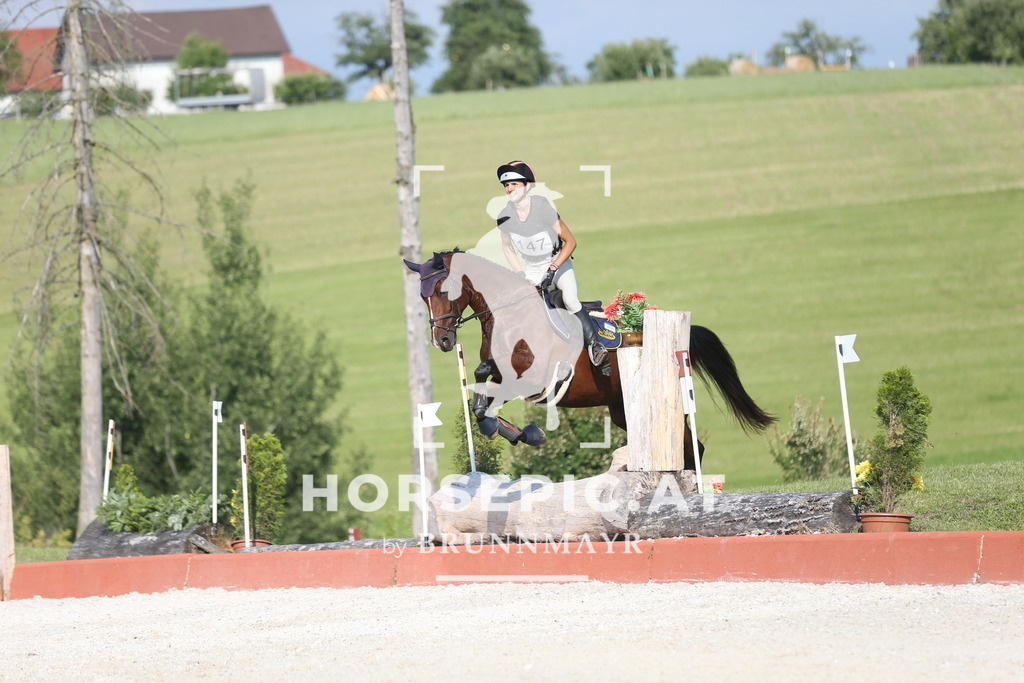 DL2Q3219 | Willkommen bei Brunnmayr - Design & Fotografie – Ihrem Spezialisten für Reitturniere und Pferdeveranstaltungen in Oberösterreich, Salzburg und Bayern! Seit über 17 Jahren sind wir leidenschaftlich dabei.