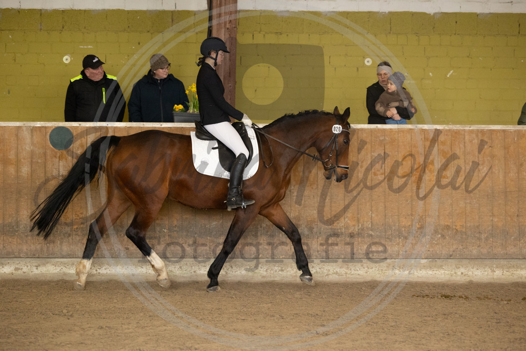 994A8622 | sabrinanicolaifotografie - Realisiert mit Pictrs.com