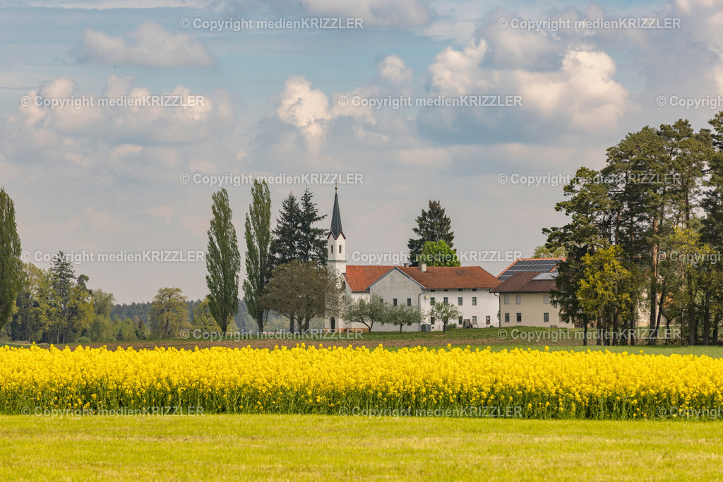 Geisberg | medienkrizzler - Realisiert mit Pictrs.com