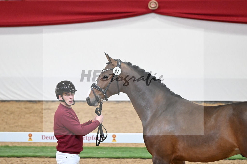 Kat.-Nr. 41 v. Baccardi_s Best_Beckmann_2250007 | hf-fotografie - Realisiert mit Pictrs.com