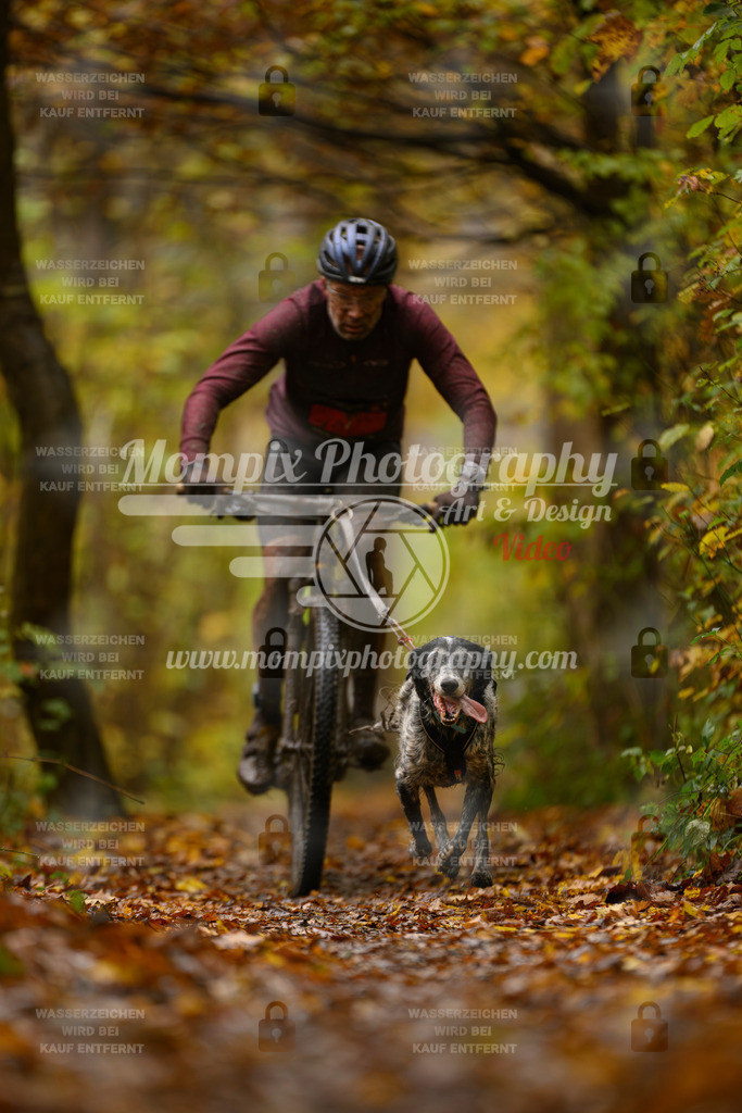 MompixPhotography_CD7S_DI_Bike-86 | mompixphotography