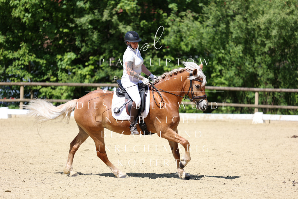 IMGS3898 | pl-fotografie