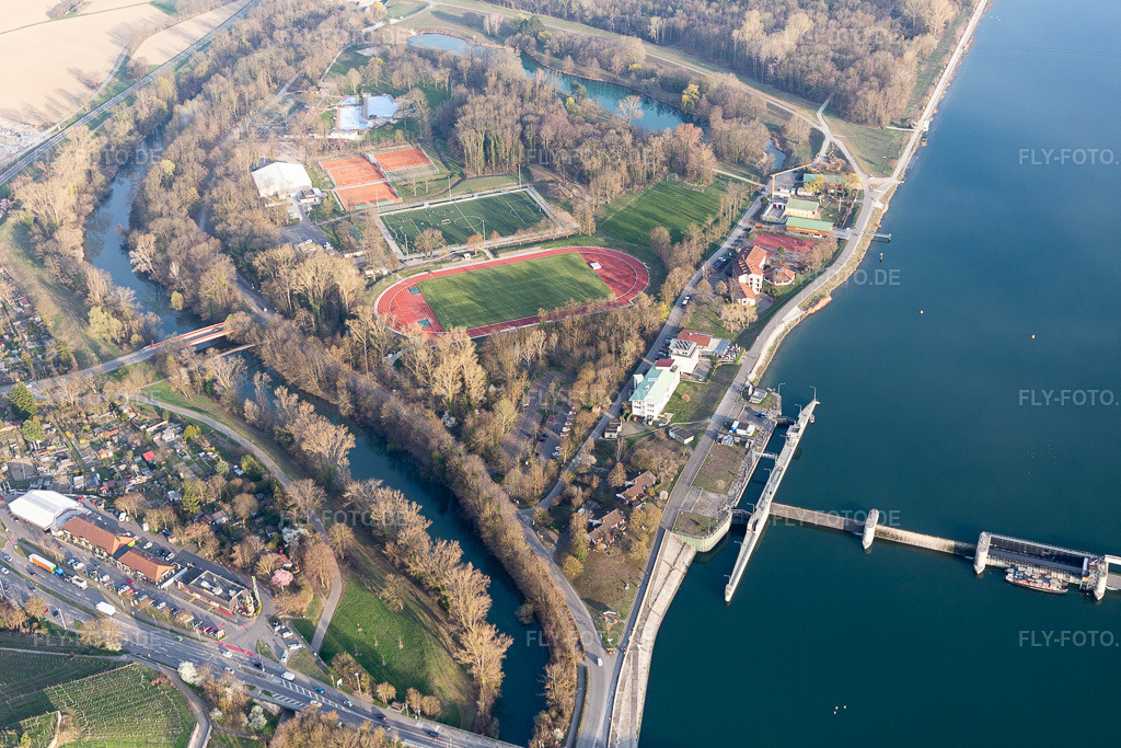 Luftbild: Waldstadion, Waldschwimmbad in Breisach am Rhein im Bundesland Baden-Württemberg in Deutschland. Foto: IMG_113182.jpg vom 22.03.2019 durch Werner Riehm/FLY-FOTO.de