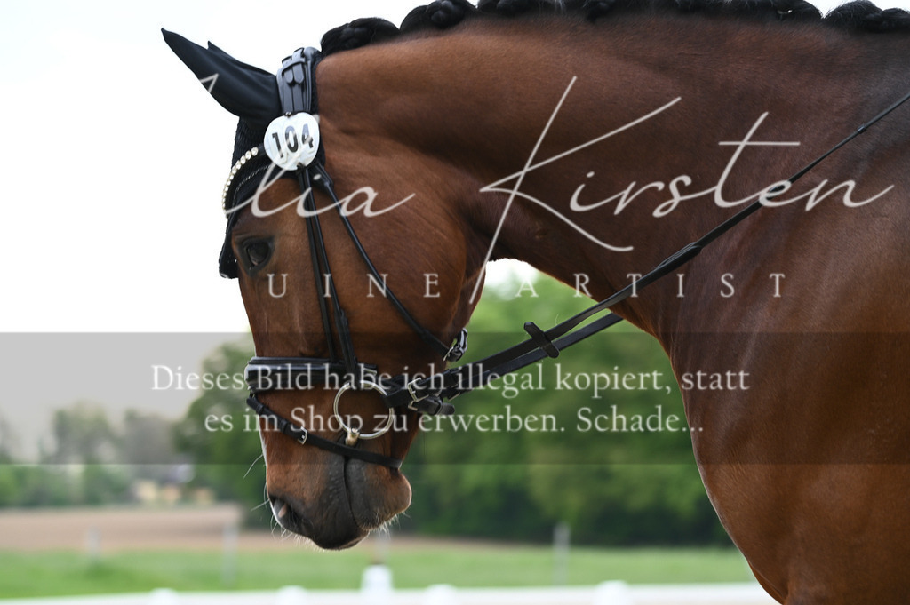 20230512_JK-Röhrsdorf-02-002 | Pferde- und Turnierfotografie in Westsachsen. Pferdeportraits, Auftragszeichnungen und intuitive Kunst.