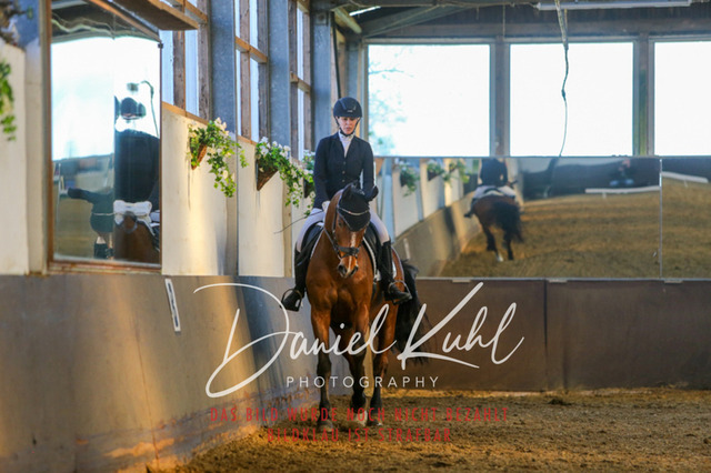 IMG_3293 | Turniersportfotografie; Pferdefotografie; Dressurfotografie