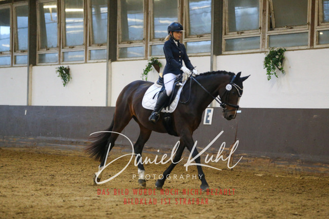 IMG_7974 | Turniersportfotografie; Pferdefotografie; Dressurfotografie