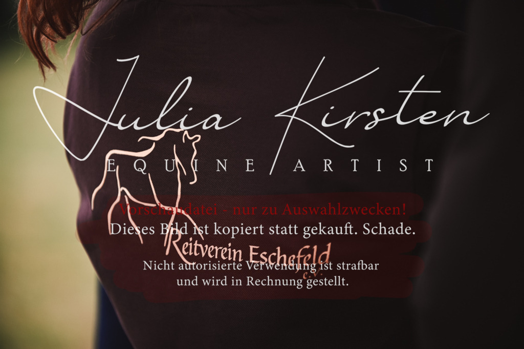 DSC_5747 | Pferde- und Turnierfotografie in Westsachsen. Pferdeportraits, Auftragszeichnungen und intuitive Kunst.