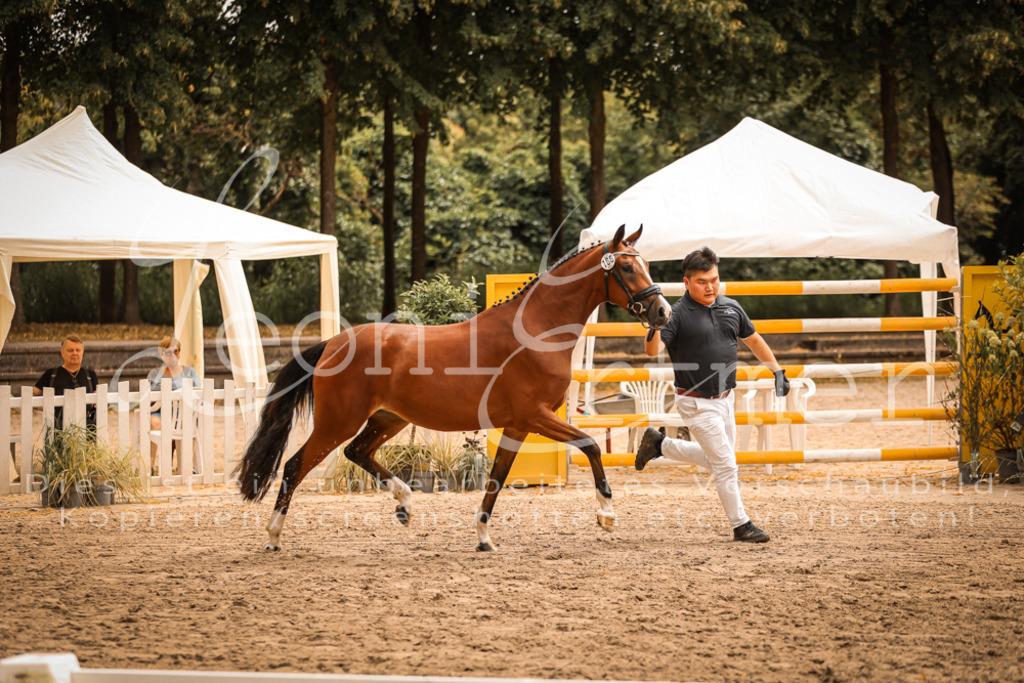 11.So00012 | Leoni Ertmer Photography - Realisiert mit Pictrs.com