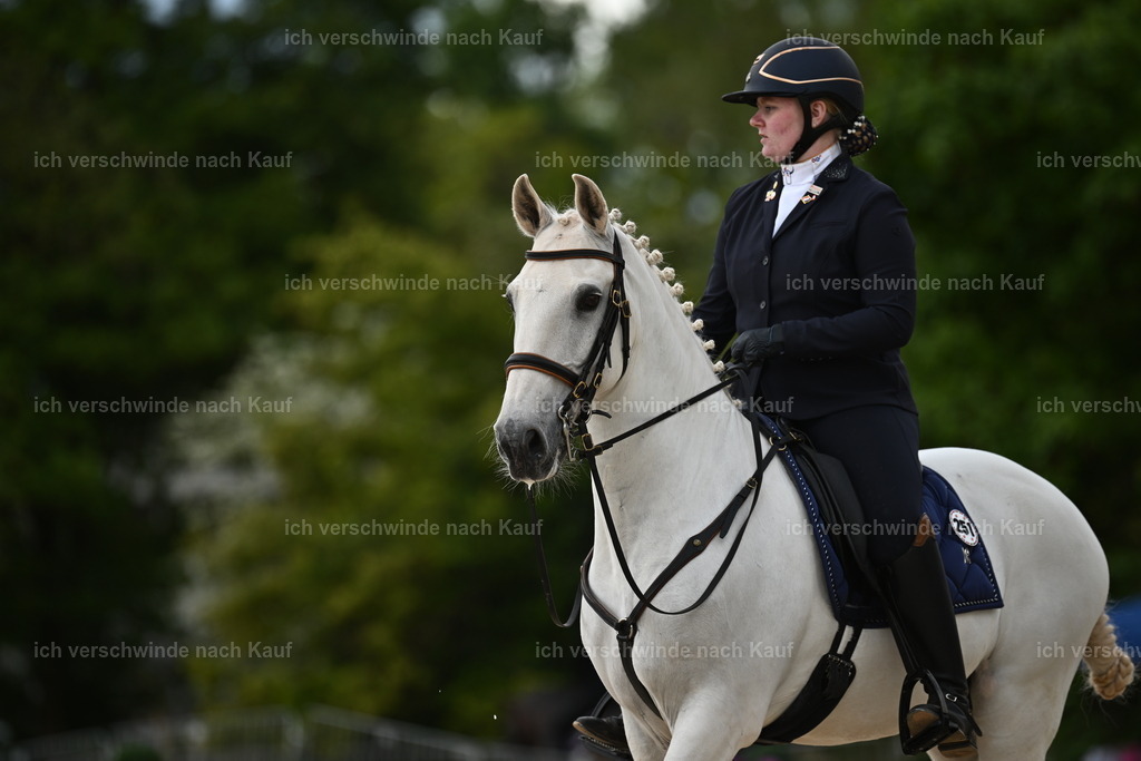 PI26_ST_Sara_Landvogt226_2441.JPG | working equitationturnier fotograf videograf stoibphotography marixx film working equitation deutschland reitsport turnierfotografie eventfotografie equestrian events