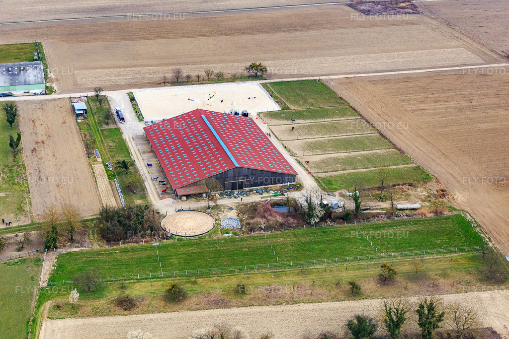 Vue aérienne: Écurie Schweykart à Stattmatten dans le département Bas Rhin, France – .Photo: IMG_086630.jpg prise le 19/03/2016 par Werner Riehm/FLY-FOTO.eu – Résolution de l'original: 5362 x 3574 px