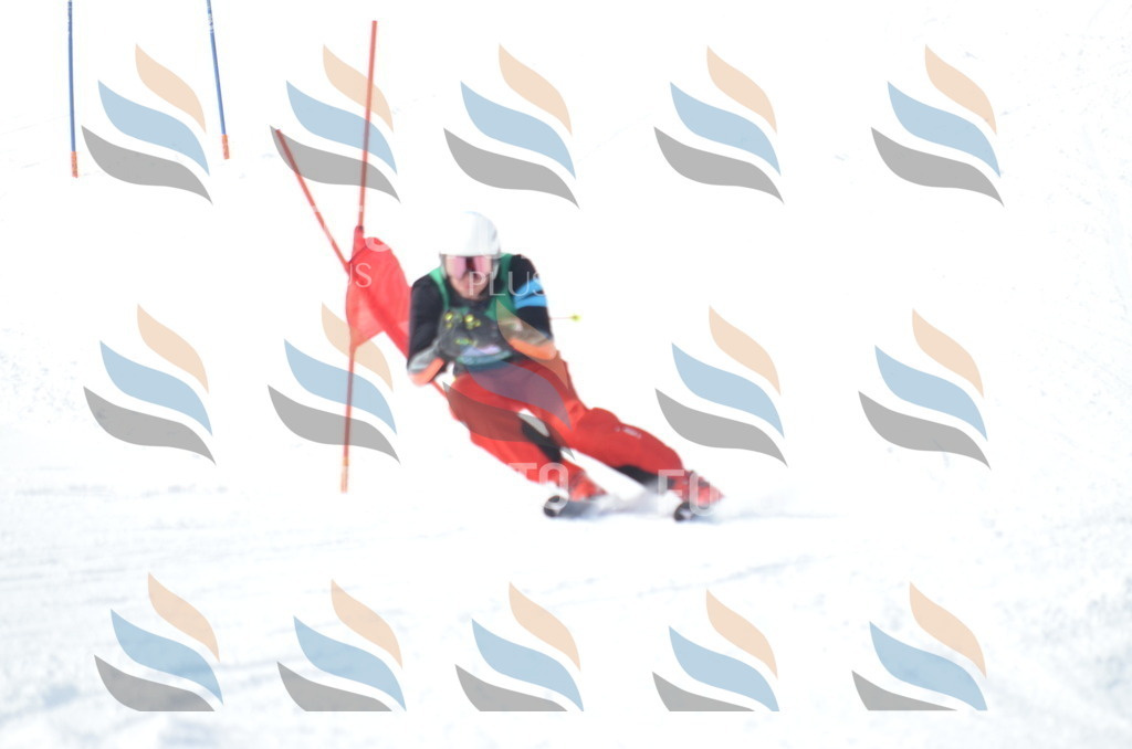 D9221 | holidayphoto