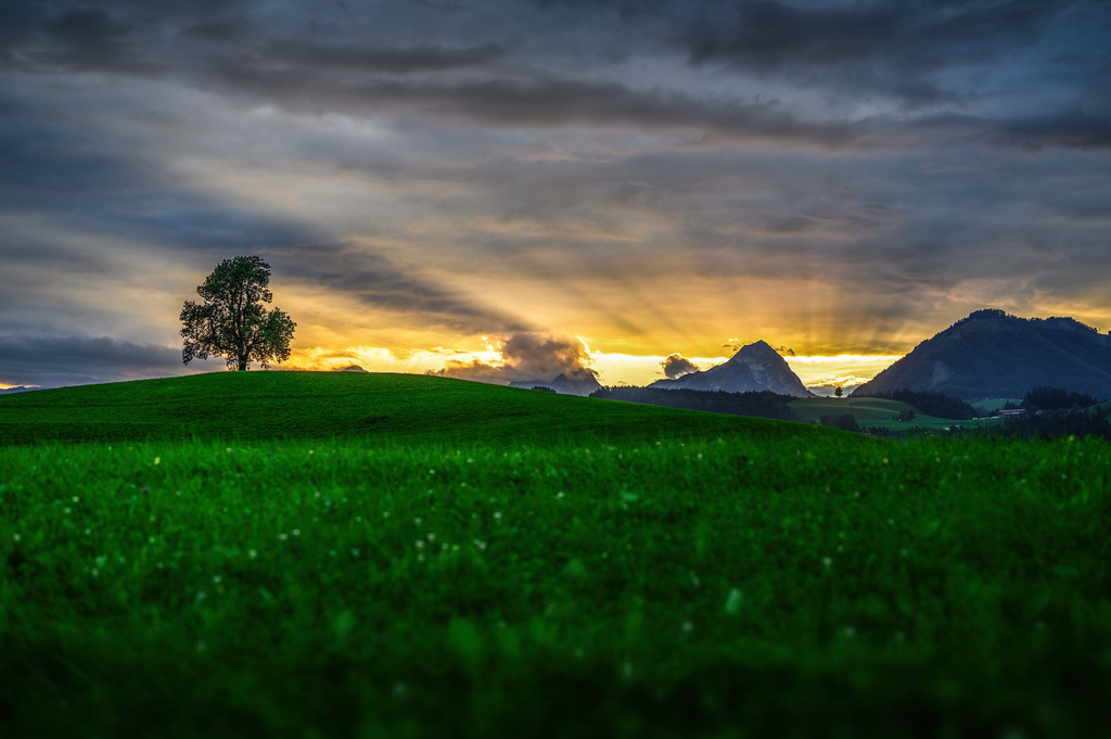 RRF_1471-HDR | Fotografie die berührt. - Realisiert mit Pictrs.com