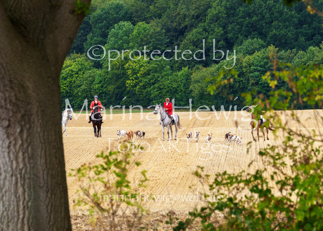 Jagd Knoop 26_MarinaHewigMCH02190 | Fotografie, FotoArt, PferdesportArt, Pferdesportfotografie, Landschaftsfotografie, Reisefotografie, Reise, Pferde - Realisiert mit Pictrs.com