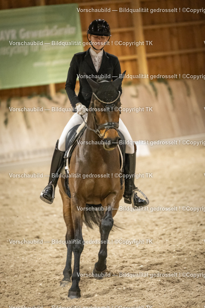 _D5A0573 | Emotionale Pferde- & People-Fotografie rund um Heidelberg, Leimen & Umgebung. Natürliche Fotos von Pferd, Mensch & Familie. Jetzt Termin sichern!