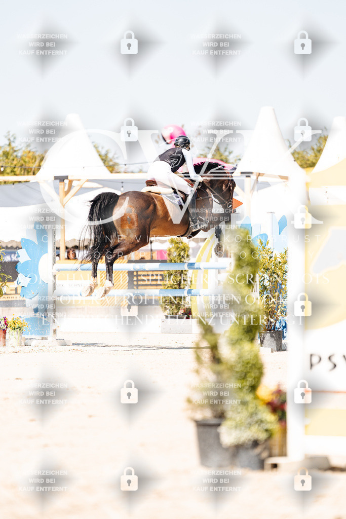 CK909453 | Turnierfotografie Pferdefotografie Trier Rheinland-Pfalz Pferdesport Reitsport Tierfotografie Sportfotografie Pferdevideo Pferdevideografie Equestrianvideography equestrianphotography  - Realisiert mit Pictrs.com