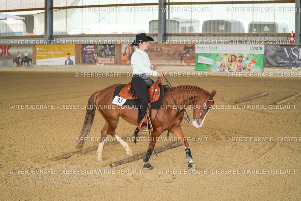 DSC03408 | Pferdegrafie