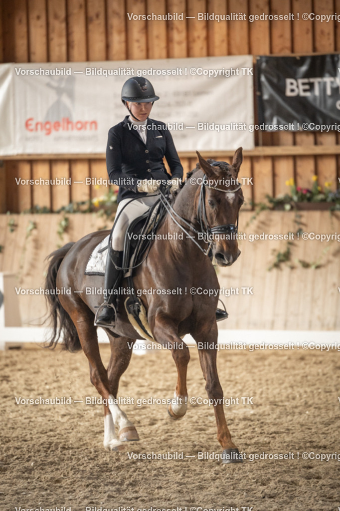 _D5A6295 | Emotionale Pferde- & People-Fotografie rund um Heidelberg, Leimen & Umgebung. Natürliche Fotos von Pferd, Mensch & Familie. Jetzt Termin sichern!