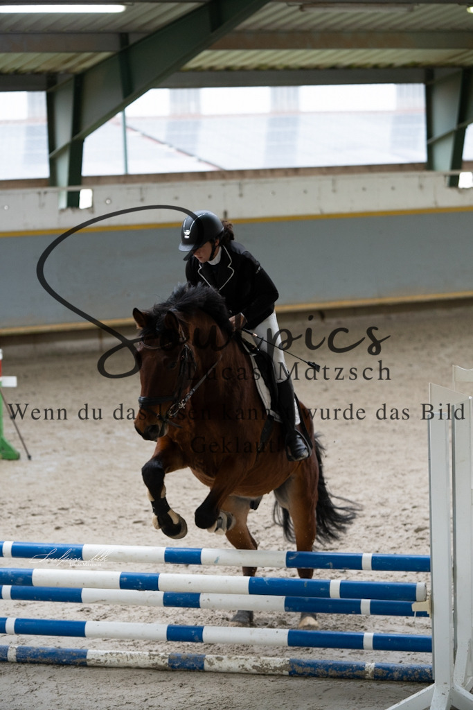 A7V01119 | Pferdefotograf