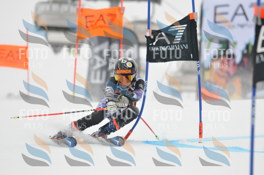 DSC_7613 | holidayphoto