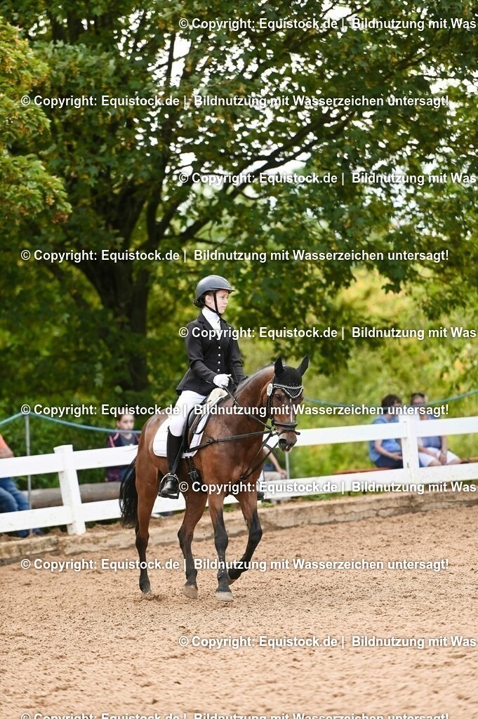 20230716_10-2_Reiter-WB Schritt - Trab - Galopp_0121 | equistock