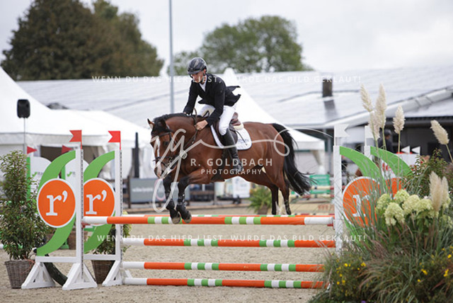 1J2A0008Alexander Liebe_ Can_t Touch This III HS_ Kn098_ Havekost | Foto- und Videografie für alles rund ums Pferd. Hochwertige Bilder und Videos vom Spring- und Dressurreiten, Voltigieren & mehr. Jetzt aktuelle Veranstaltungen und Preise im Shop ansehen. - Realisiert mit Pictrs.com