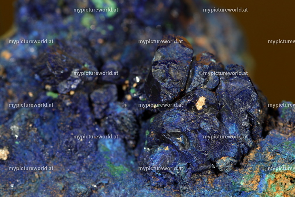 Azurit-004 | Das Bilderarchiv über Tiere, Planzen und Landschaften. In der Bilddatenbank finden Sie ein große Auswahl an hochwertigen Bilder für Ihre Werbung - Realisiert mit Pictrs.com