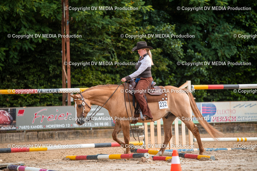 ZS3_9169 | dv-media-shop - Realisiert mit Pictrs.com