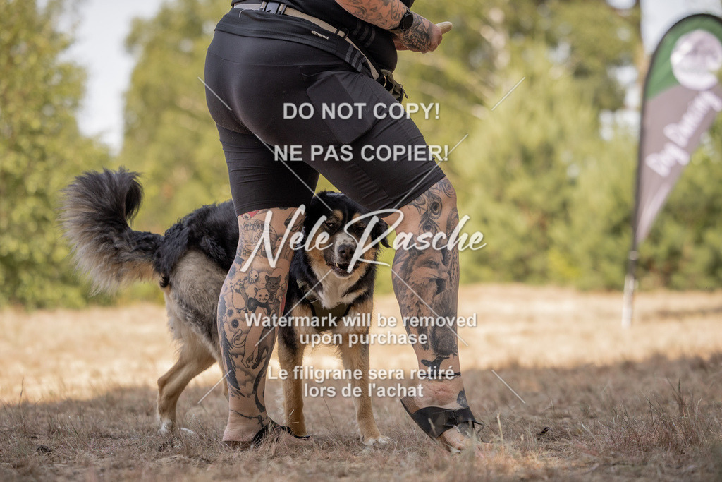 nelerasche_soDD2_245 | nelerasche