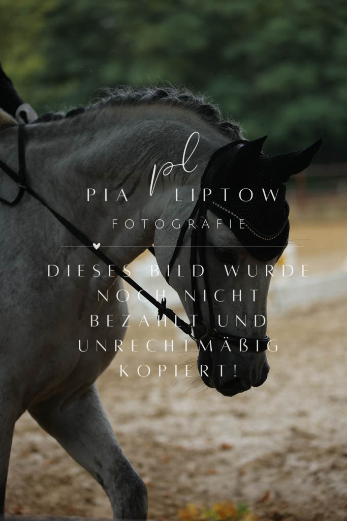 IMGM9167 | pl-fotografie