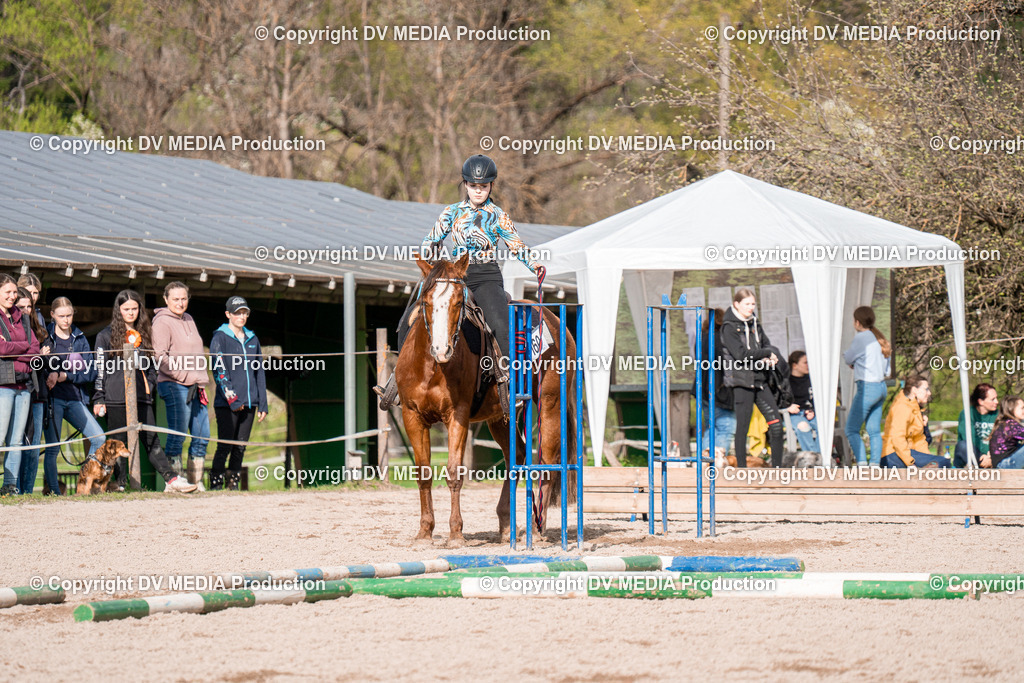 BAL02803 | dv-media-shop - Realisiert mit Pictrs.com