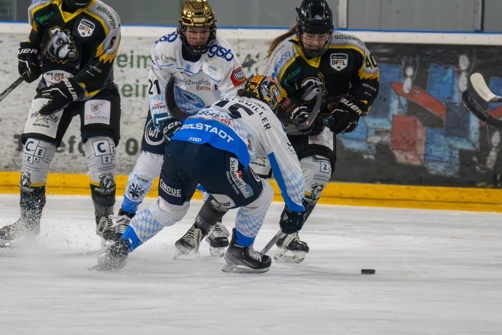 07.12.2024: Deutsche Frauen Eishockey Liga, Saison 2024/25: Mad Dogs Mannheim gegen ERC Ingolstadt | 07.12.2024: Deutsche Frauen Eishockey Liga, Saison 2024/25: Mad Dogs Mannheim gegen ERC Ingolstadt - Realisiert mit Pictrs.com