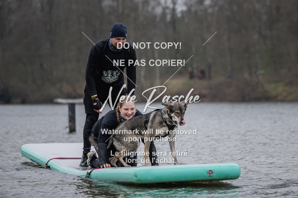 nelerasche_Hulsbeek_Sa1430-1515_428 | nelerasche