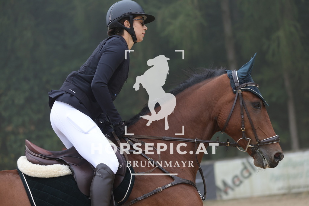 0P6A0326 | Willkommen bei Brunnmayr - Design & Fotografie – Ihrem Spezialisten für Reitturniere und Pferdeveranstaltungen in Oberösterreich, Salzburg und Bayern! Seit über 17 Jahren sind wir leidenschaftlich dabei.