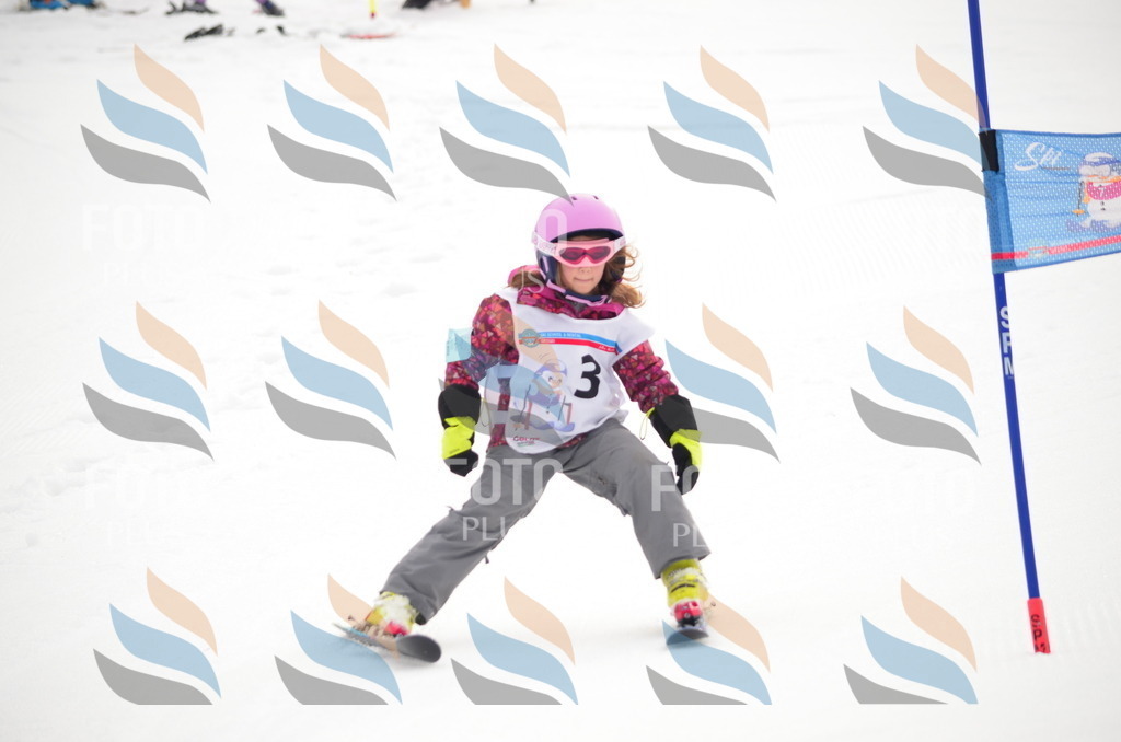 B9117 | holidayphoto