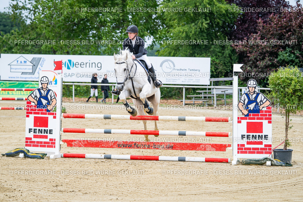 DSC03553 | Pferdegrafie