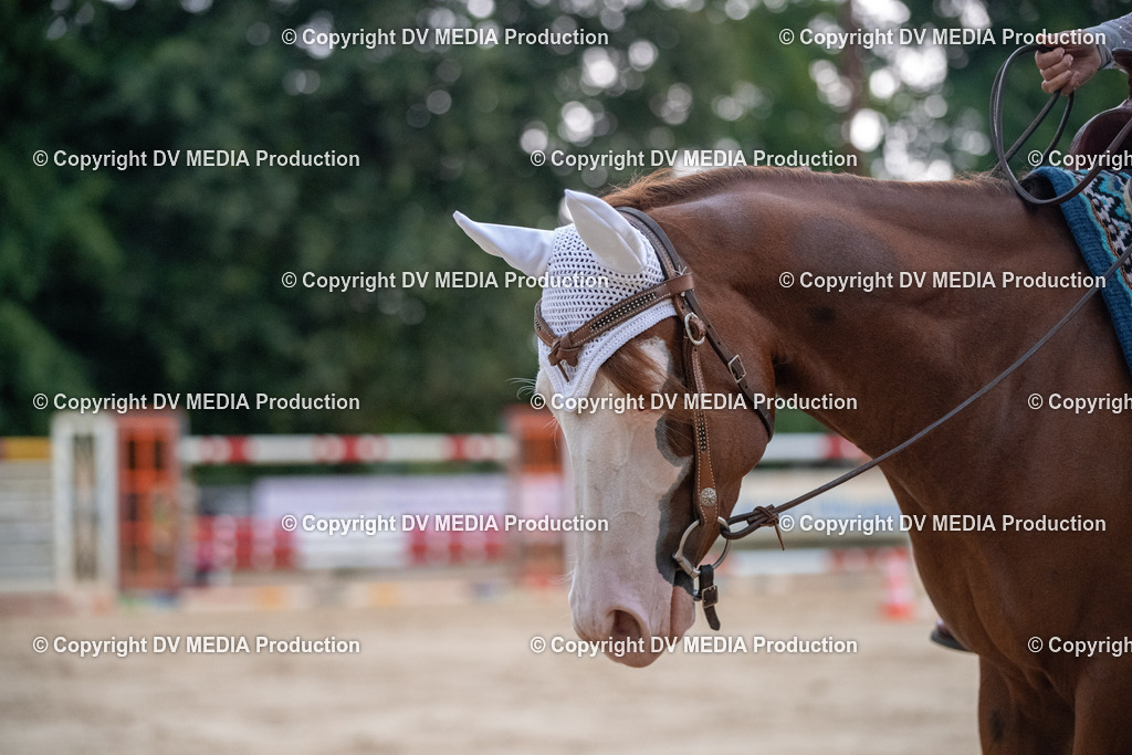 ZS2_3850 | dv-media-shop - Realisiert mit Pictrs.com