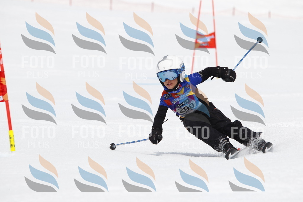 _U3G7432 | holidayphoto