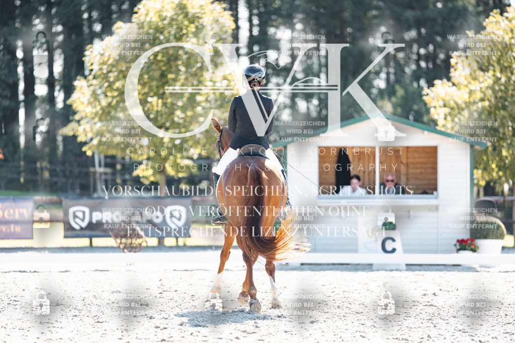 CK906042 | Turnierfotografie Pferdefotografie Trier Rheinland-Pfalz Pferdesport Reitsport Tierfotografie Sportfotografie Pferdevideo Pferdevideografie Equestrianvideography equestrianphotography  - Realisiert mit Pictrs.com