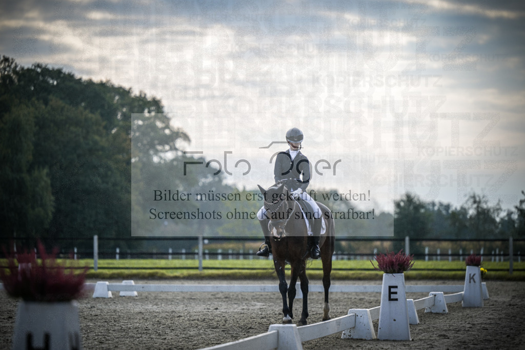 DOS_B088 | Entdecke hochwertige Reitturnierfotos von Foto Oger. Professionell, emotional und authentisch – jetzt Lieblingsmomente im Shop bestellen.Deutschlandweite Turnierfotografie. - Realisiert mit Pictrs.com