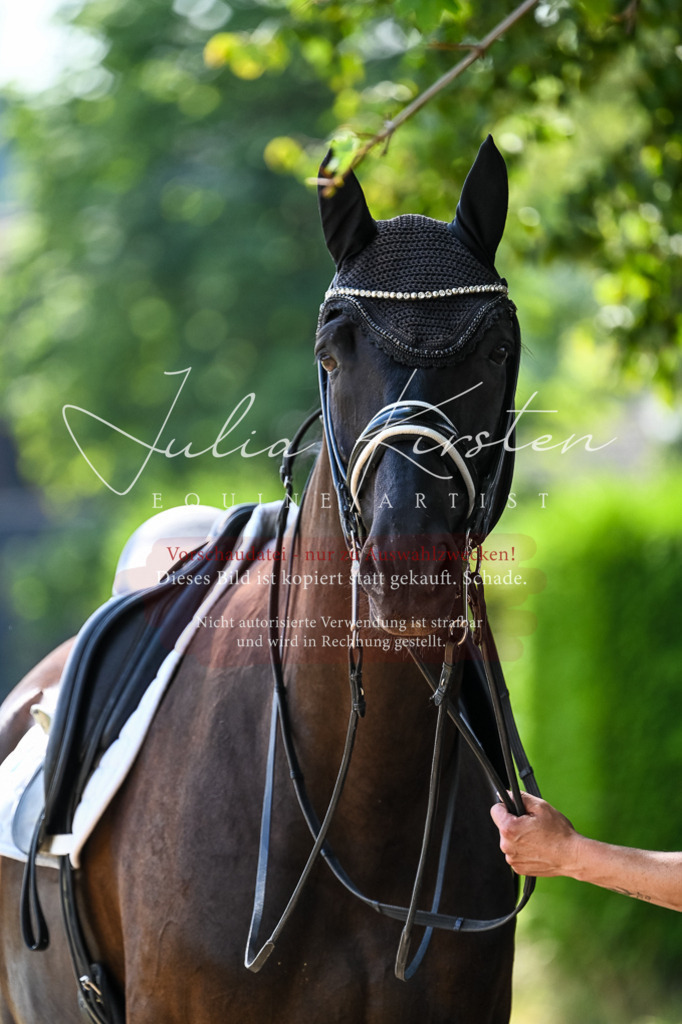 DSC_2776 | Pferde- und Turnierfotografie in Westsachsen. Pferdeportraits, Auftragszeichnungen und intuitive Kunst.