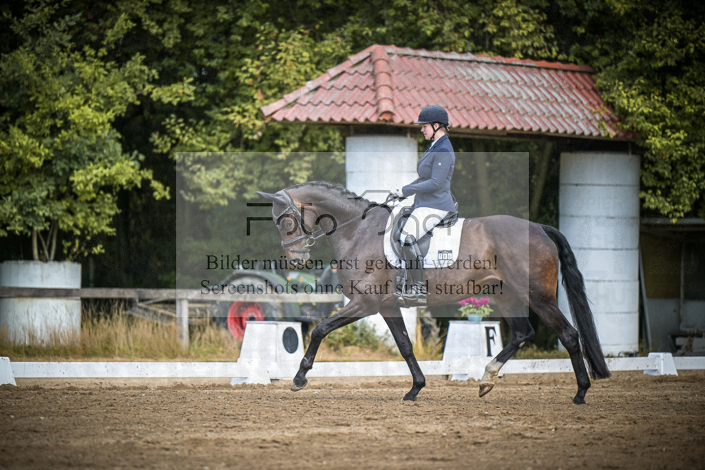 DOS_4184 | Entdecke hochwertige Reitturnierfotos von Foto Oger. Professionell, emotional und authentisch – jetzt Lieblingsmomente im Shop bestellen.Deutschlandweite Turnierfotografie. - Realisiert mit Pictrs.com