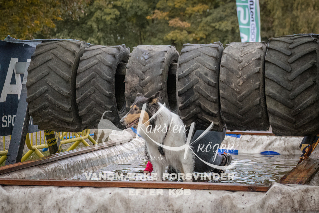 1626_ZZ93291 | kk-dogfotos