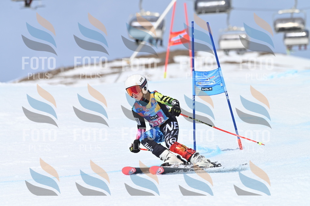 BGV_3402 | holidayphoto