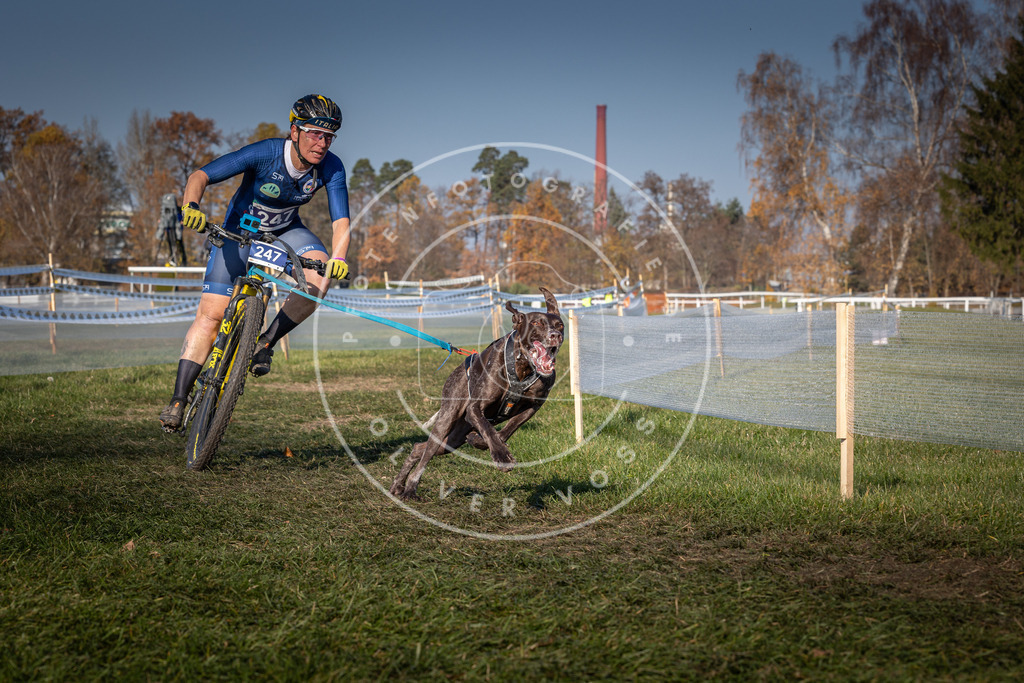 CaniXpix_0L8A6559 | Hundefotografie, Tierfotograf, Pfotenfotografie, Fotoshooting Hund, Hunde Portrait, Hundesport, Hundeportraits, Heideshooting, Hunde, Sportfotograf, Hundefotograf, Turnierhundsport, THS,  - Realisiert mit Pictrs.com