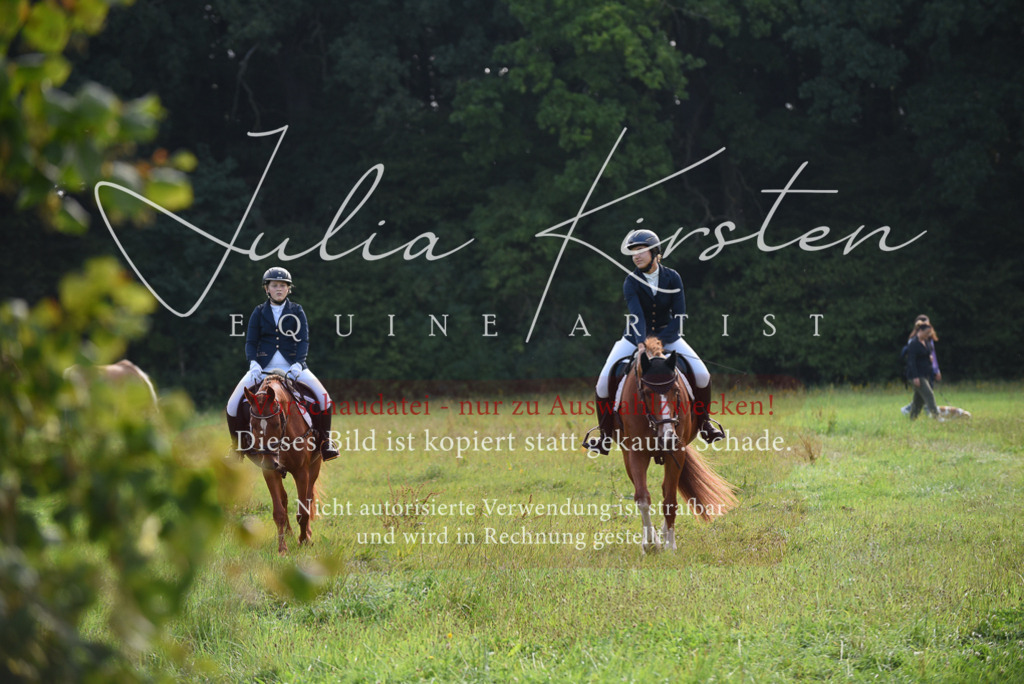 DSC_8539 | Pferde- und Turnierfotografie in Westsachsen. Pferdeportraits, Auftragszeichnungen und intuitive Kunst.