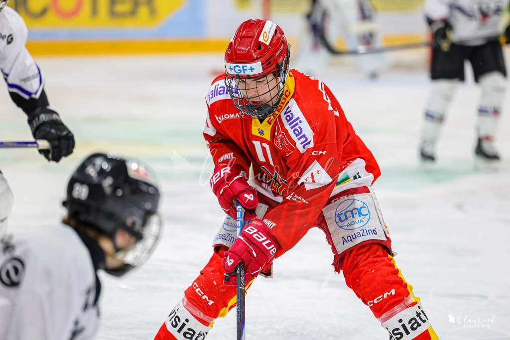EHCB Spirit vs HCFG_wb-8357 | Sportbilder, Sportfotograf, Hochzeits- und Eventfotografin, Flugshows, Portraits und Tiershooting, Aviation, Downhill, Nationalleague, Swissleague, International