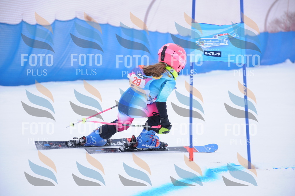 DSC_7764 | holidayphoto