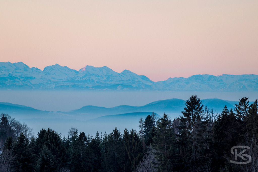 Alpenpanorama im Morgenrot – Nebelschwaden über bewaldeten Hügeln | Stimmungsvolle Landschaftsfotografie der Alpen im ersten Morgenlicht. Blaue Bergsilhouetten mit rosa Himmel, Nebelschwaden über bewaldeten Hügeln und majestätisches Alpenpanorama von Stefan Kuhn. - Realisiert mit Pictrs.com